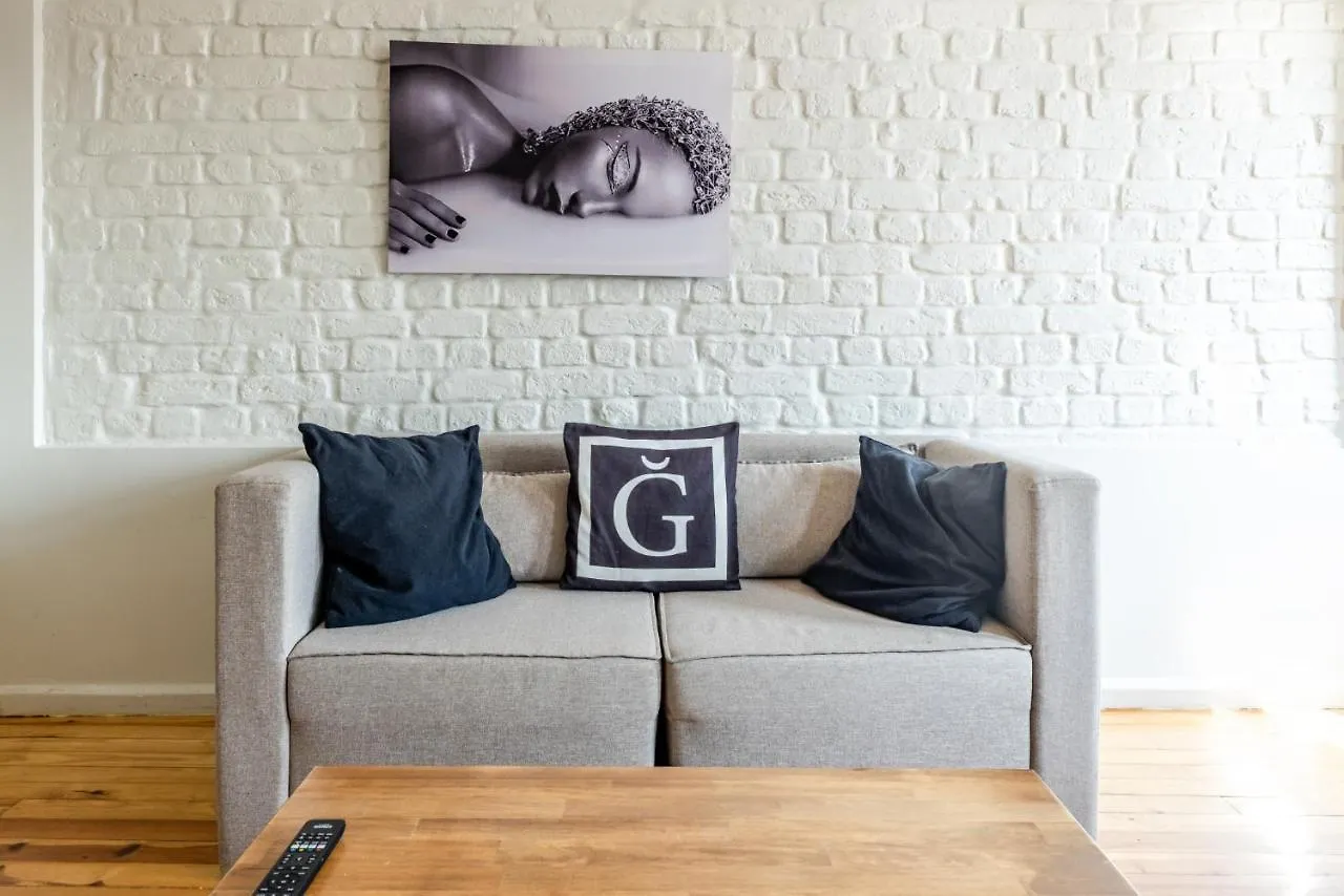 Central Flat With A Shared Terrace In Beyoglu Apartment Istanbul Turkey